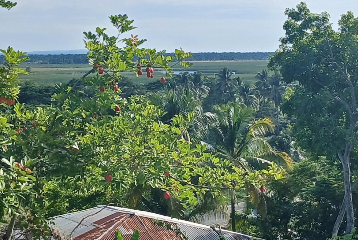 First image of House- Middle Quaters Flower hi in Middle Quarters, St. Elizabeth, Jamaica - property is For Sale