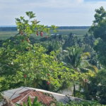 First image of House- Middle Quaters Flower hi in Middle Quarters, St. Elizabeth, Jamaica - property is For Sale