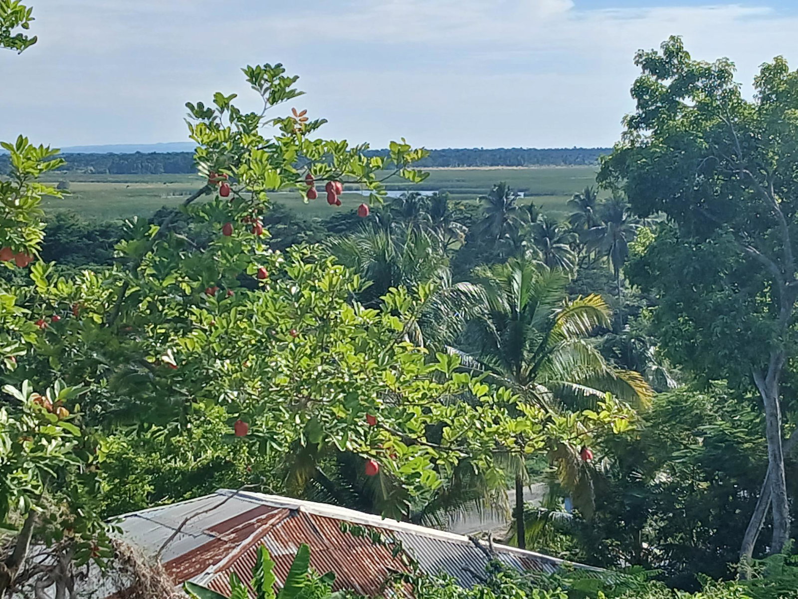 First image of House- Middle Quaters Flower hi in Middle Quarters, St. Elizabeth, Jamaica - property is For Sale