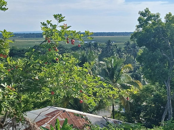 First image of House- Middle Quaters Flower hi in Middle Quarters, St. Elizabeth, Jamaica - property is For Sale