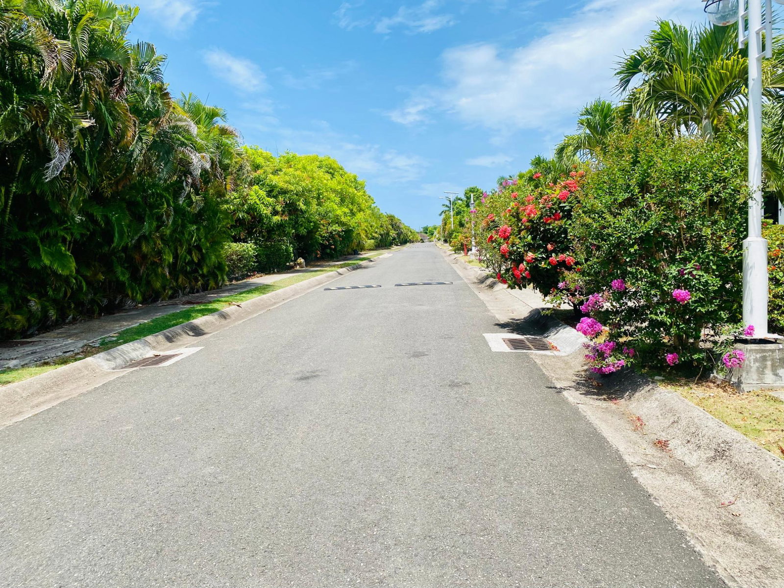 Ninth image of 302 Pimento Avenue, Richmond in Richmond, St. Ann, Jamaica - property is For Sale