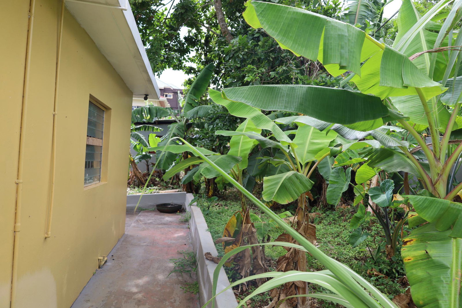 Twenty-First image of 68 Bonito Crescent in Mandeville, Manchester, Jamaica - property is For Sale