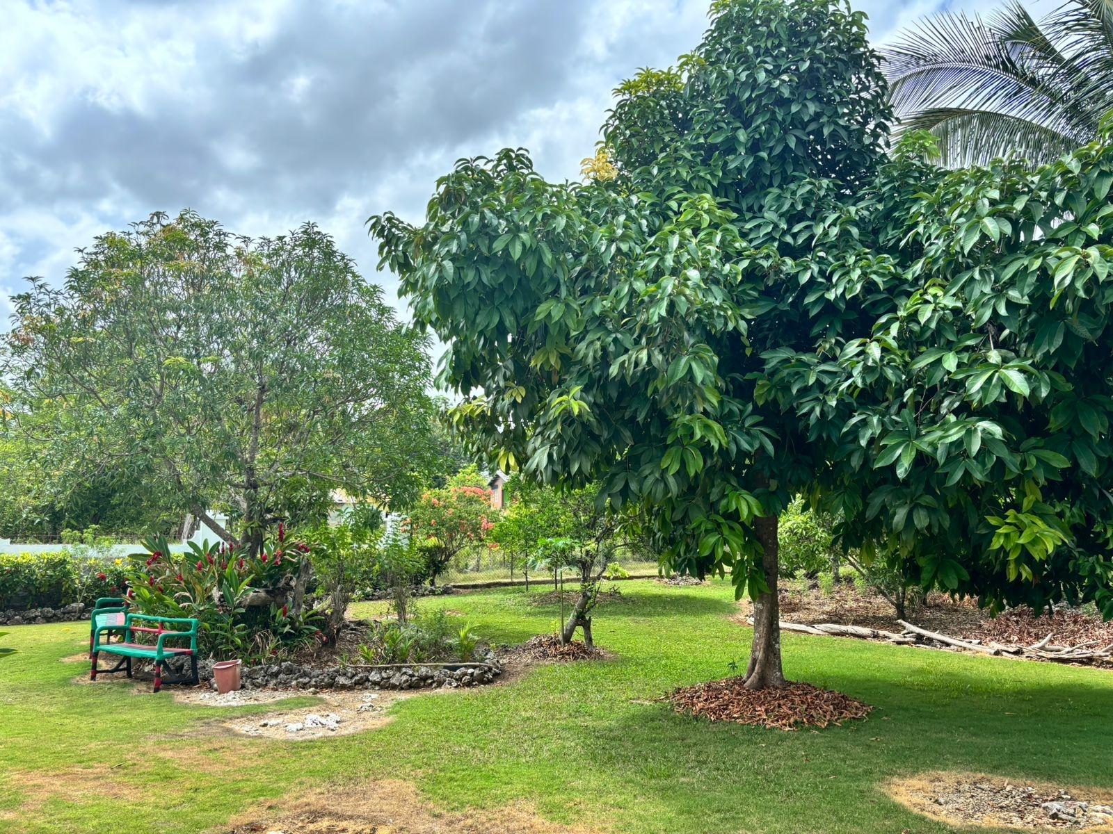 Third image of Longwood-santa Cruz Longwood Estates in Santa Cruz, St. Elizabeth, Jamaica - property is For Sale