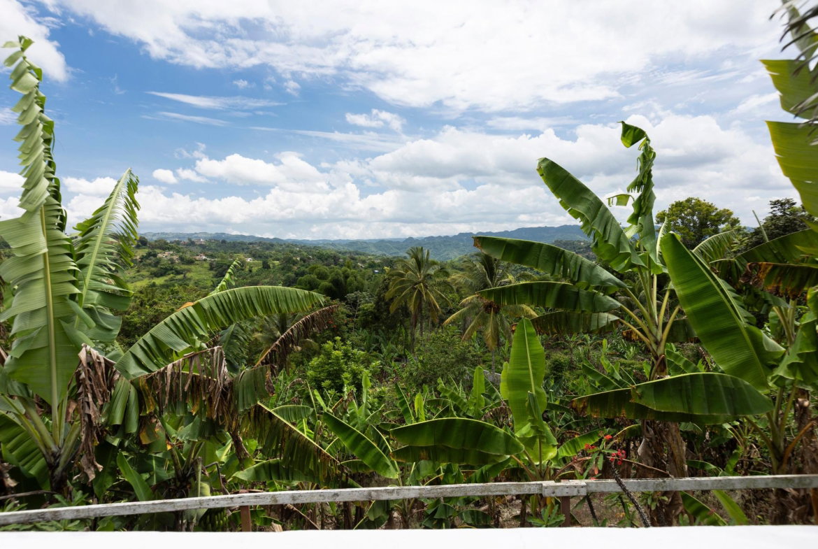 Eleventh image of Sanguinetti, Clarendon in Spaldings, Clarendon, Jamaica - property is For Sale