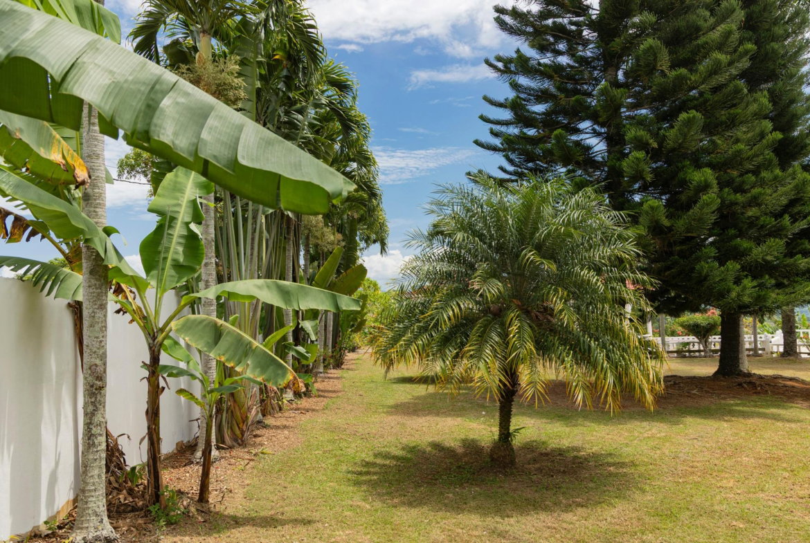 Twenty-Fifth image of Sanguinetti, Clarendon in Spaldings, Clarendon, Jamaica - property is For Sale