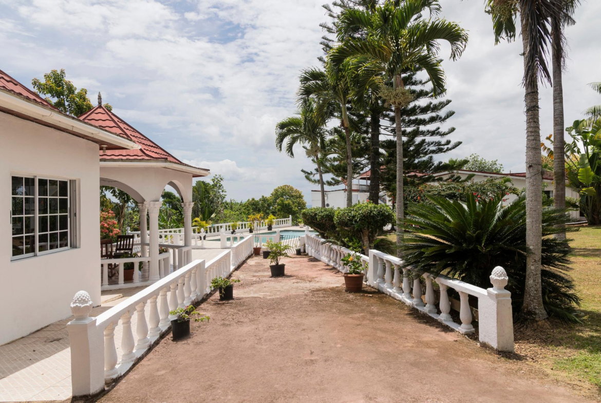 Ninth image of Sanguinetti, Clarendon in Spaldings, Clarendon, Jamaica - property is For Sale
