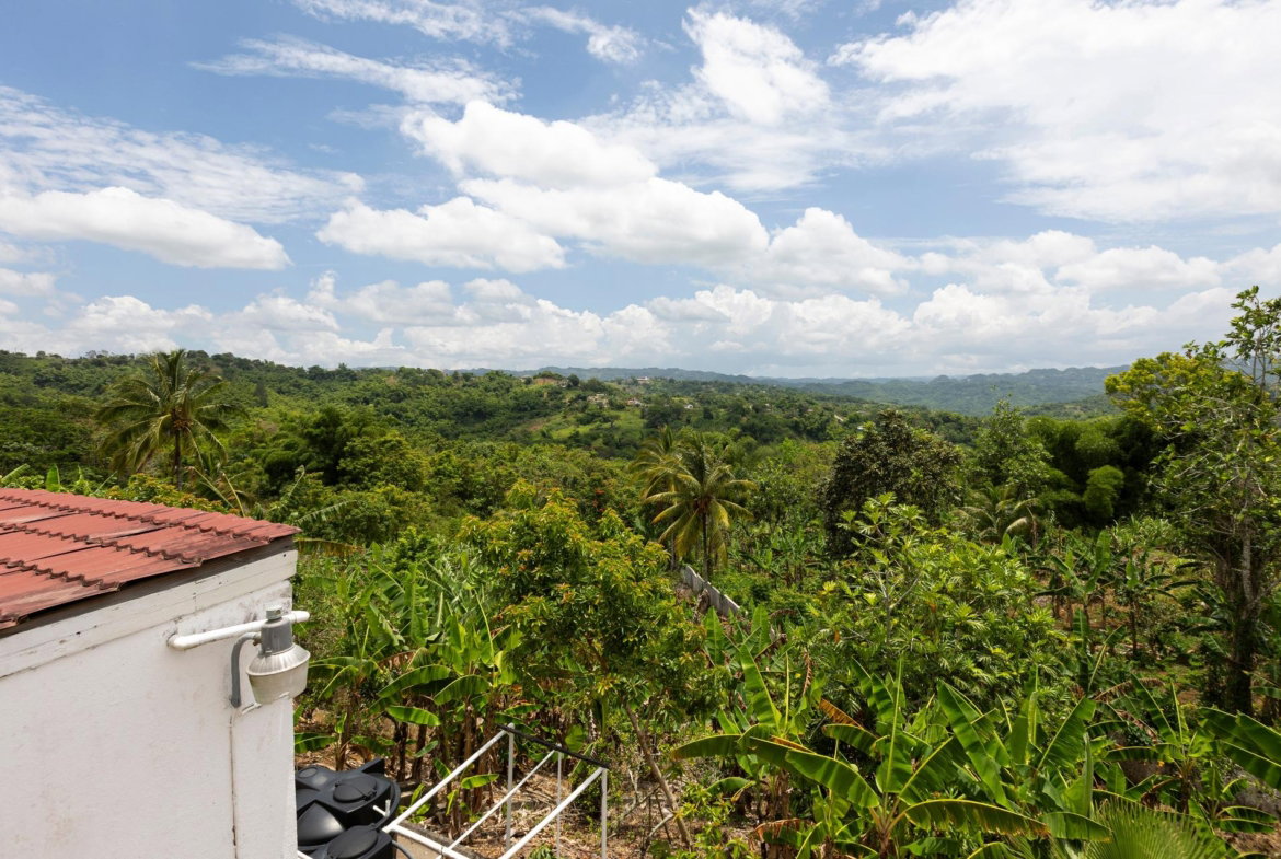 Tenth image of Sanguinetti, Clarendon in Spaldings, Clarendon, Jamaica - property is For Sale