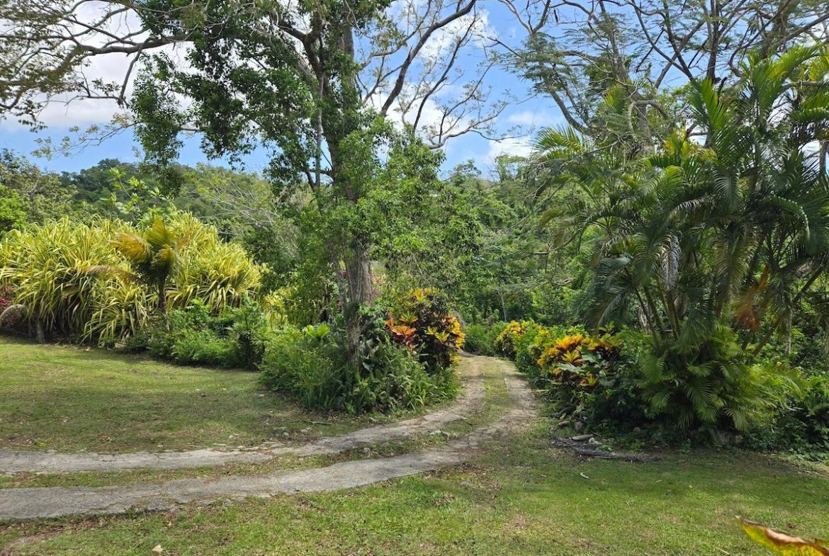 Fifth image of Kempshot, st James in Kempshot Pen, St. James, Jamaica - property is For Sale