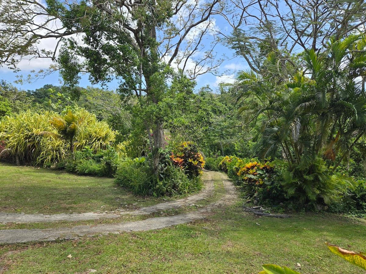 Charming-4-Bedroom-Solar-Powered-Bungalow-for-Sale-in-Kempshot-St.-James-Jamaica Fifth image of Kempshot, st James in Kempshot Pen, St. James, Jamaica - property is For Sale