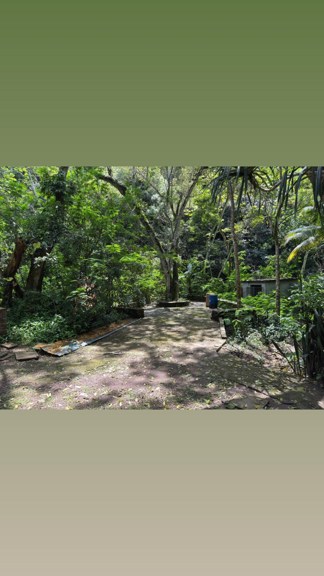 Twelfth image of Maryland in Gordon Town P.O., St. Andrew, Jamaica - property is For Rent