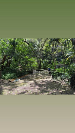 Twelfth image of Maryland in Gordon Town P.O., St. Andrew, Jamaica - property is For Rent