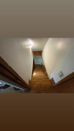 Twenty-First image of Maryland in Gordon Town P.O., St. Andrew, Jamaica - property is For Rent