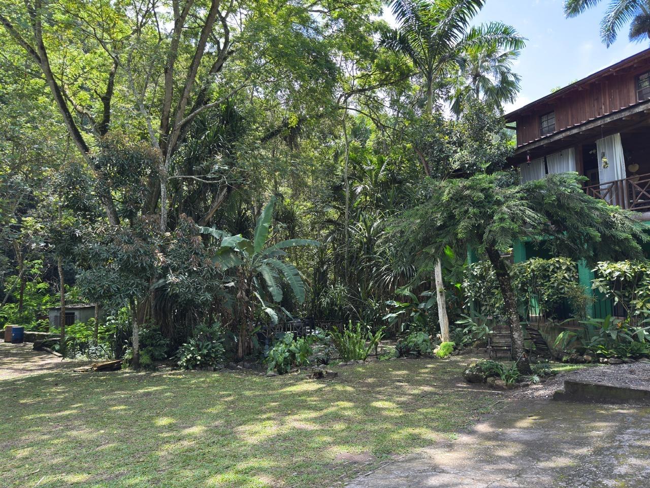 Fifth image of Maryland in Gordon Town P.O., St. Andrew, Jamaica - property is For Rent
