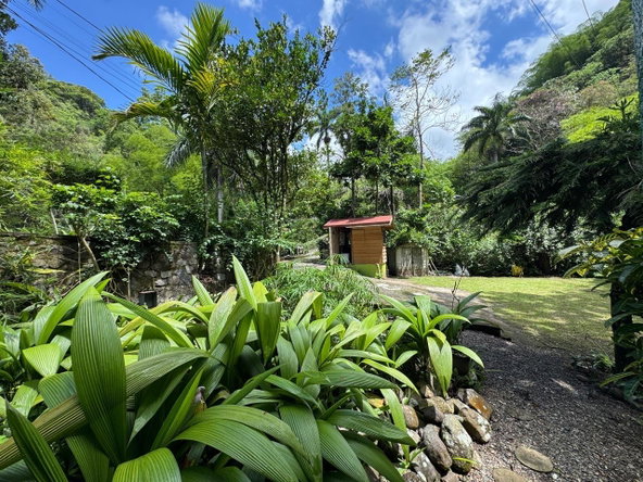 Ninth image of Maryland in Gordon Town P.O., St. Andrew, Jamaica - property is For Rent