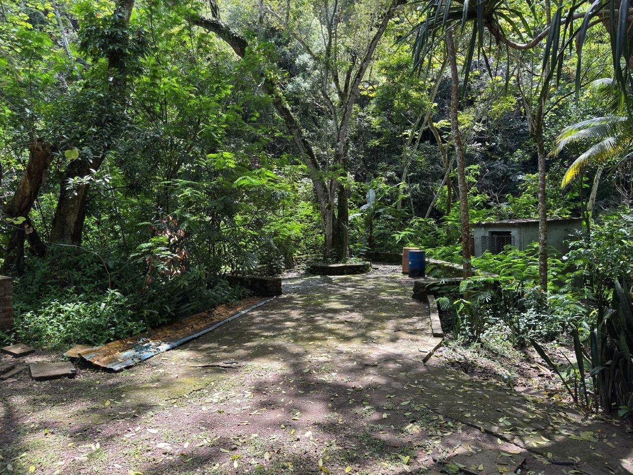 Tenth image of Maryland in Gordon Town P.O., St. Andrew, Jamaica - property is For Rent