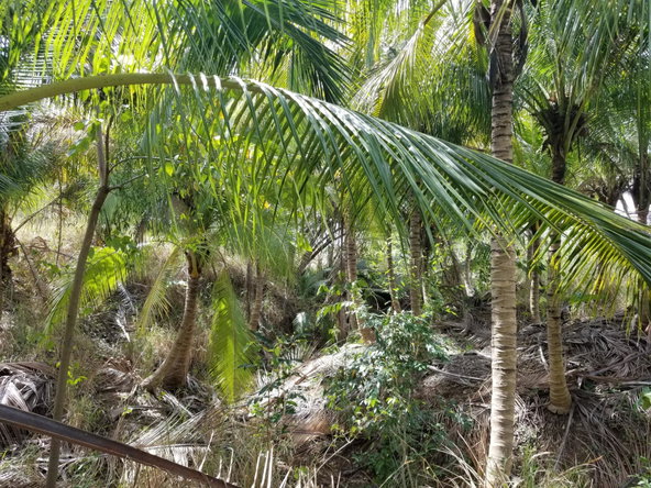 Third image of Colbeck Pen, Old Harbour, in Colbeck, St. Catherine, Jamaica - property is For Sale