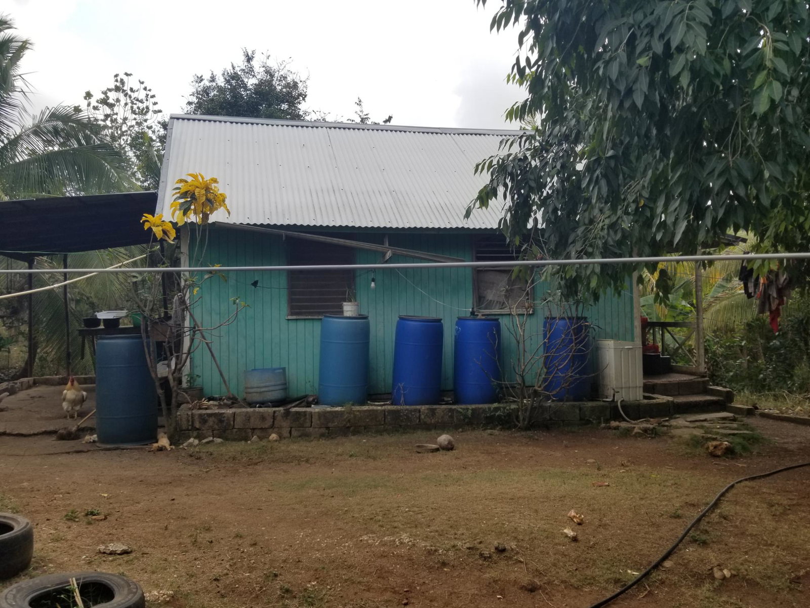 Sixth image of Colbeck Pen, Old Harbour, in Colbeck, St. Catherine, Jamaica - property is For Sale