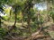 First image of Colbeck Pen, Old Harbour, in Colbeck, St. Catherine, Jamaica - property is For Sale