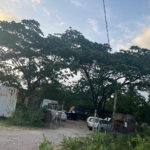 First image of 184 Foga Road in Denbigh, Clarendon, Jamaica - property is For Sale