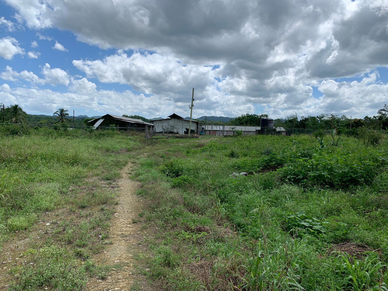 Second image of 71&72 Belvidere Pen, Chester ca in Chester Castle, Hanover, Jamaica - property is For Sale