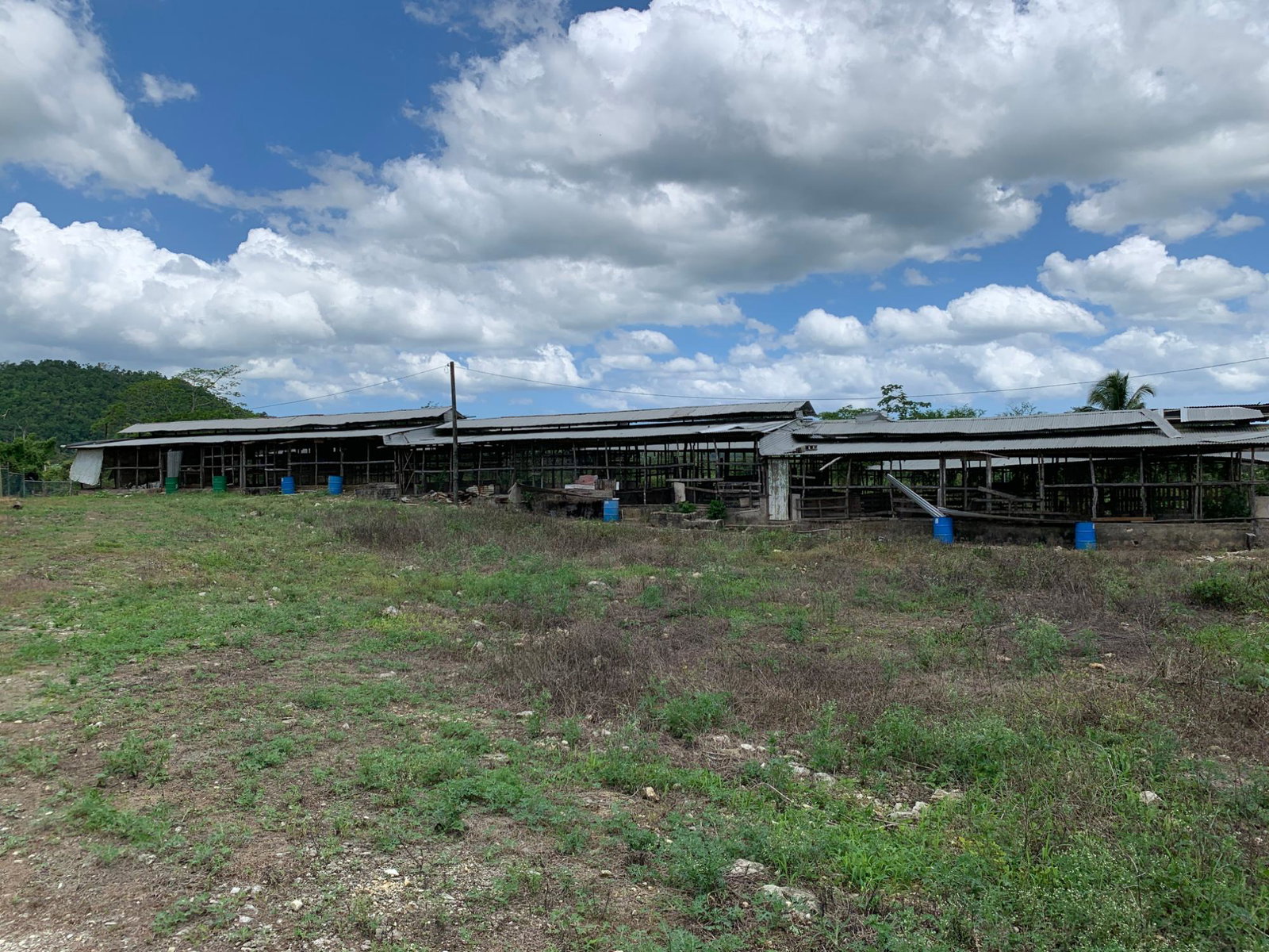 Eleventh image of 71&72 Belvidere Pen, Chester ca in Chester Castle, Hanover, Jamaica - property is For Sale