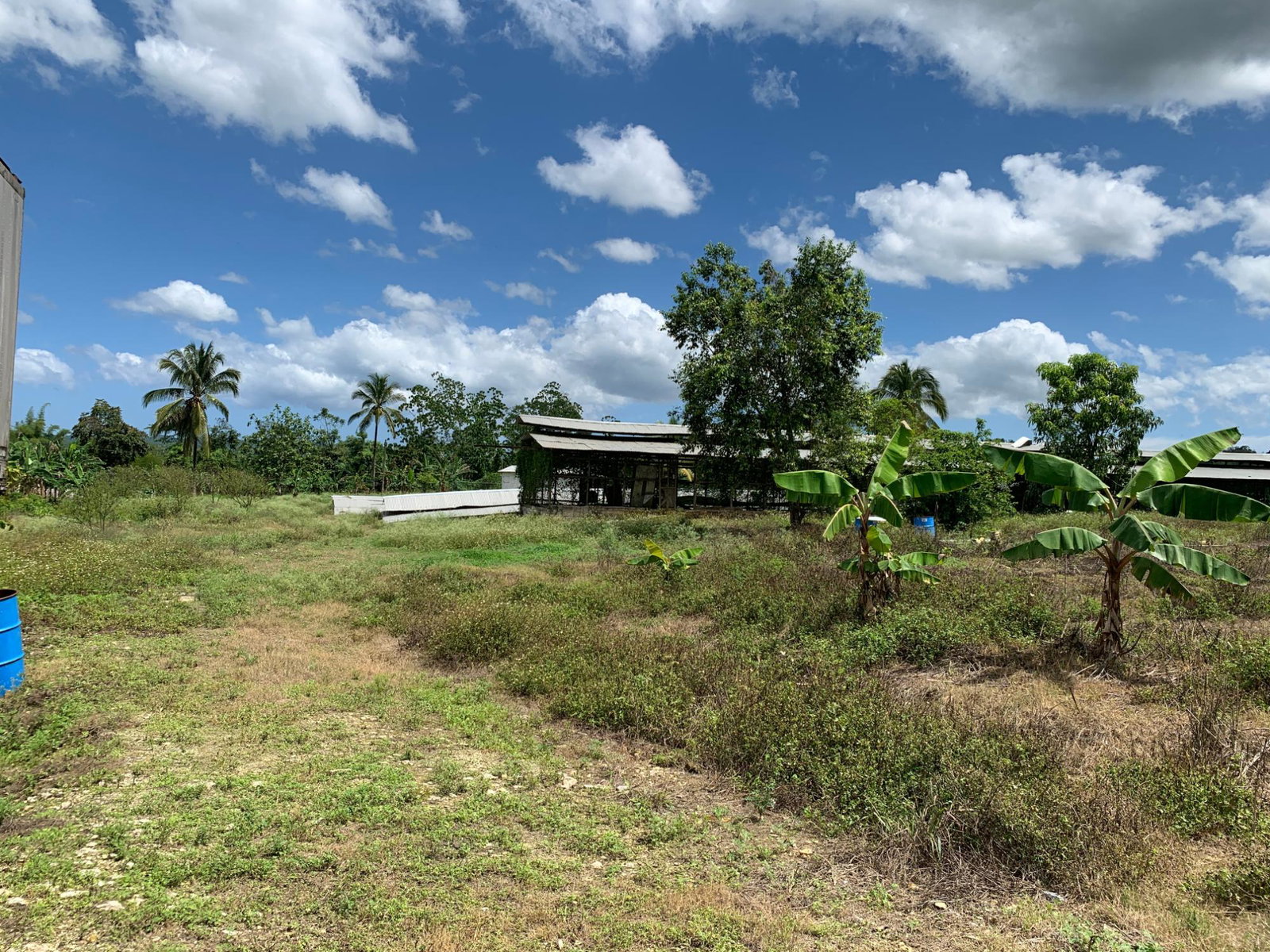 Thirteenth image of 71&72 Belvidere Pen, Chester ca in Chester Castle, Hanover, Jamaica - property is For Sale