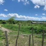 First image of 71&72 Belvidere Pen, Chester ca in Chester Castle, Hanover, Jamaica - property is For Sale