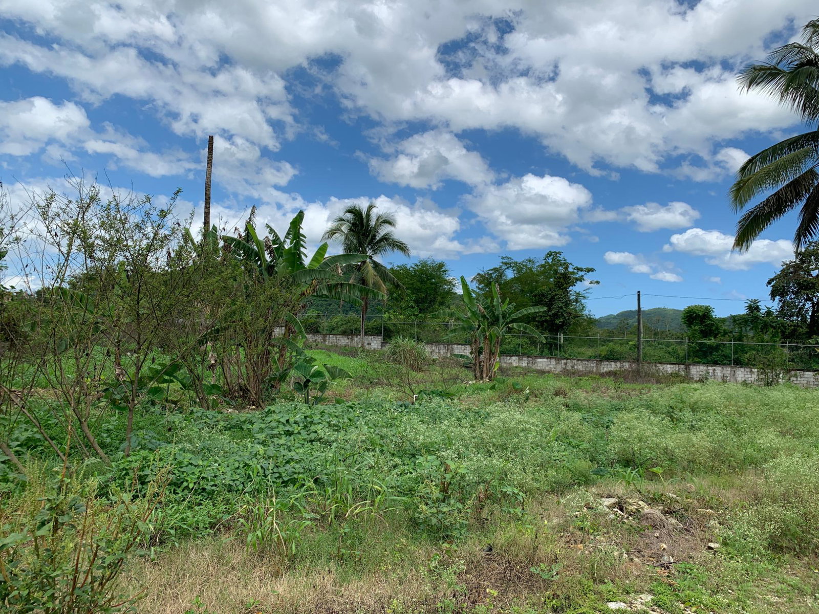 Fourth image of 71&72 Belvidere Pen, Chester ca in Chester Castle, Hanover, Jamaica - property is For Sale