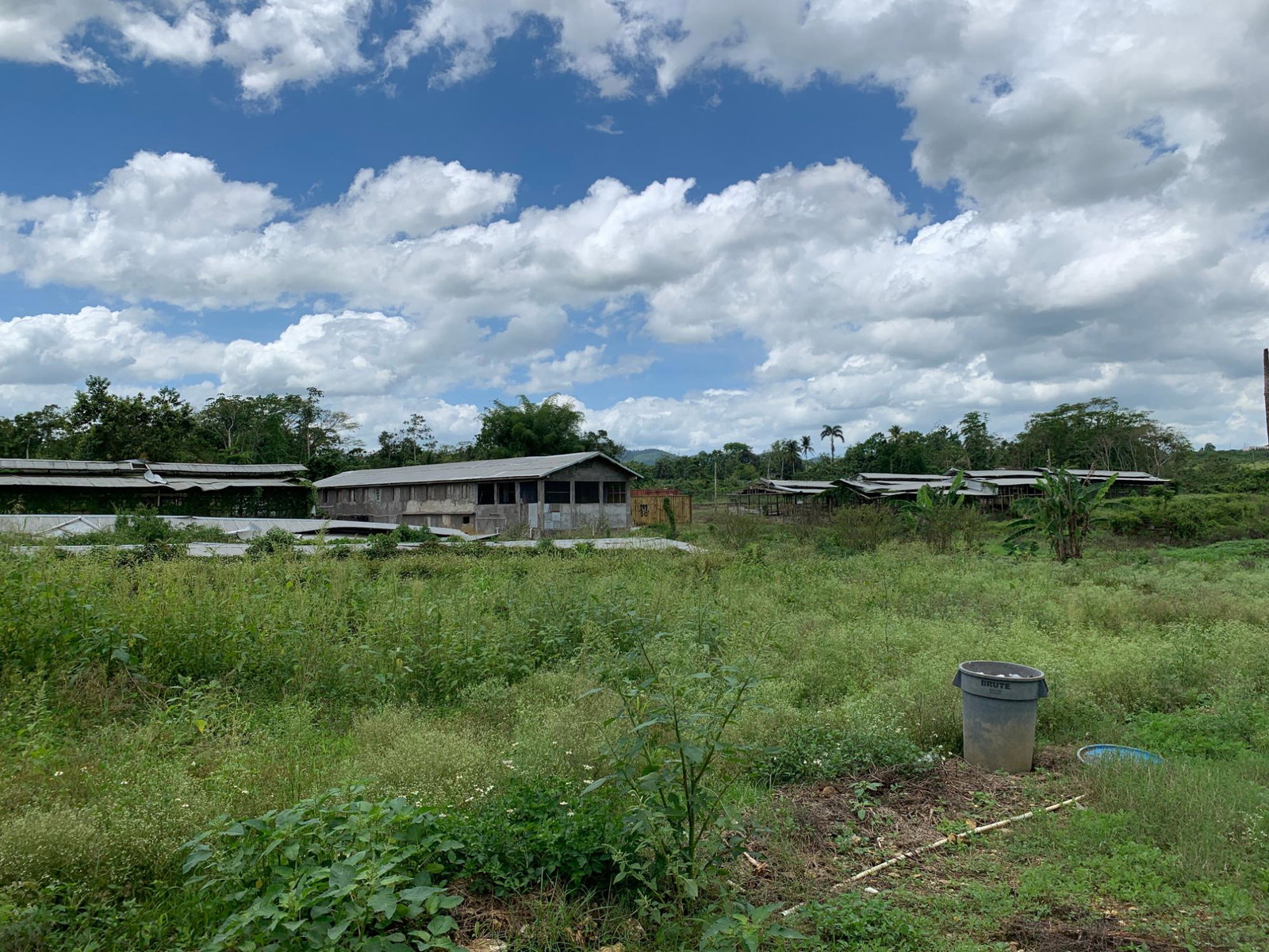 Fifth image of 71&72 Belvidere Pen, Chester ca in Chester Castle, Hanover, Jamaica - property is For Sale