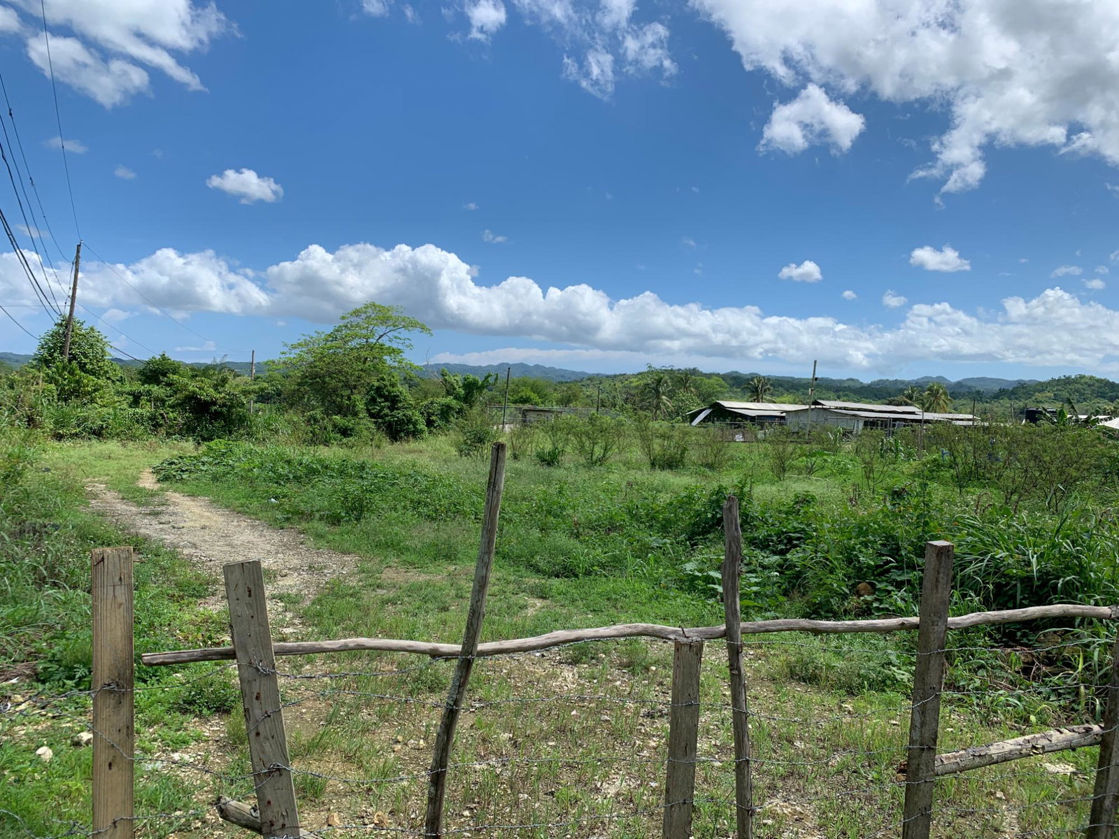 First image of 71&72 Belvidere Pen, Chester ca in Chester Castle, Hanover, Jamaica - property is For Sale