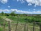 First image of 71&72 Belvidere Pen, Chester ca in Chester Castle, Hanover, Jamaica - property is For Sale