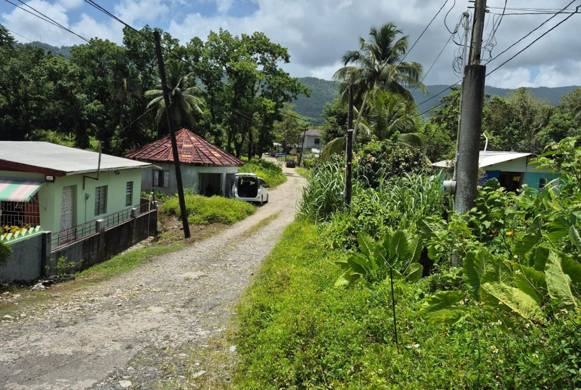 First image of Lot 89 Stanton Harcourt, Portlan in Stanton Harcourt, Portland, Jamaica - property is For Sale