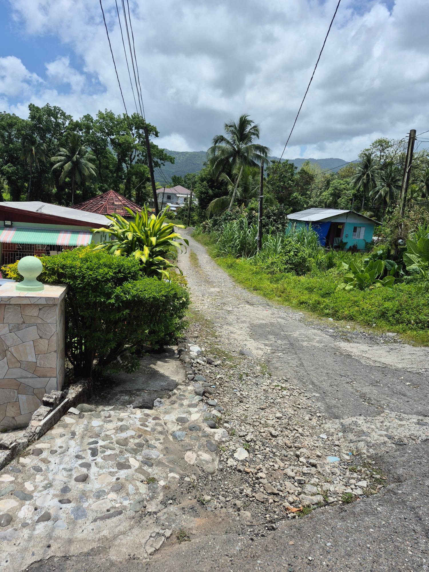 Fourth image of Lot 89 Stanton Harcourt, Portlan in Stanton Harcourt, Portland, Jamaica - property is For Sale
