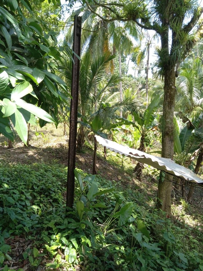 Tenth image of Lot 89 Stanton Harcourt, Portlan in Stanton Harcourt, Portland, Jamaica - property is For Sale