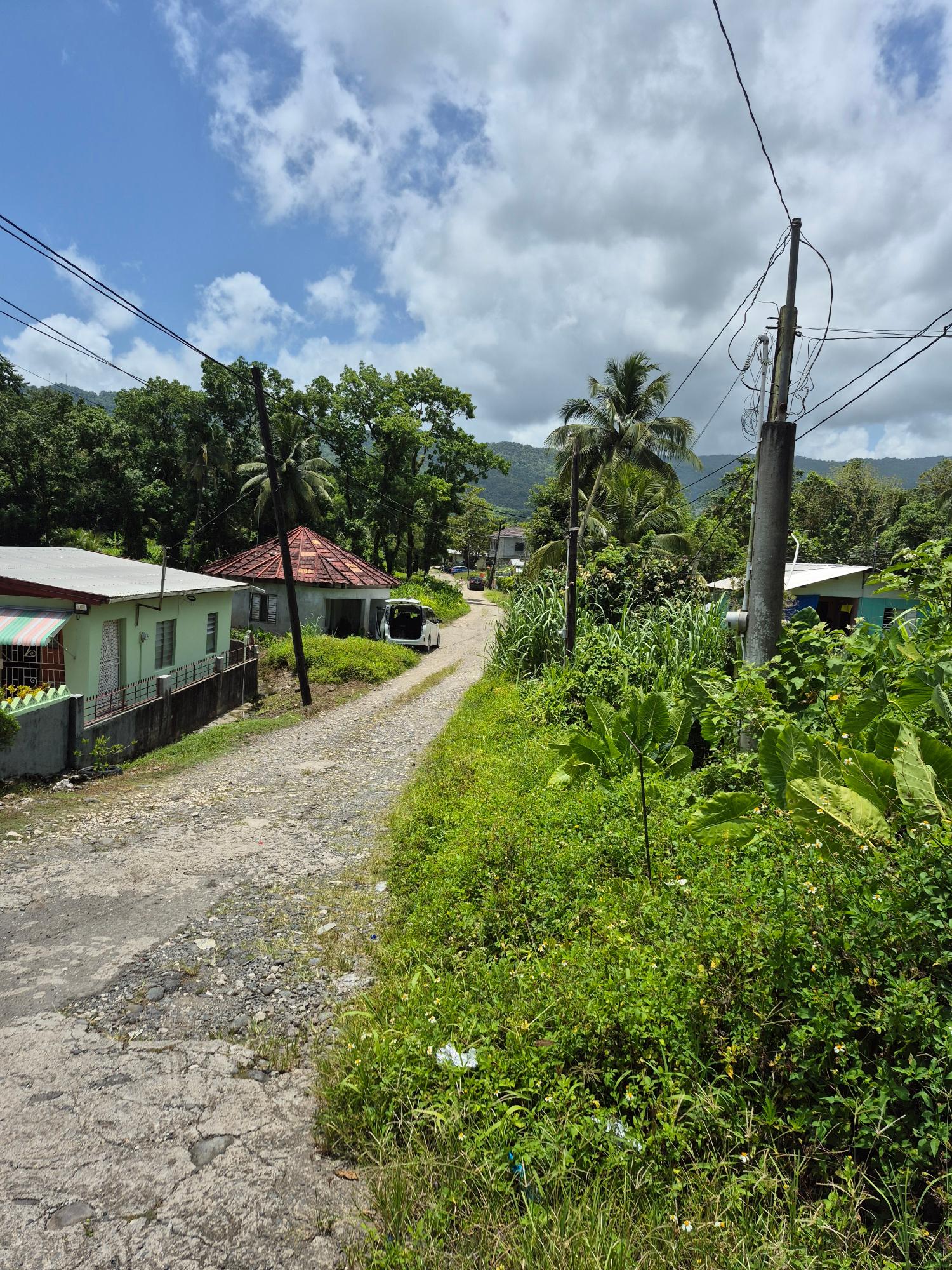 First image of Lot 89 Stanton Harcourt, Portlan in Stanton Harcourt, Portland, Jamaica - property is For Sale