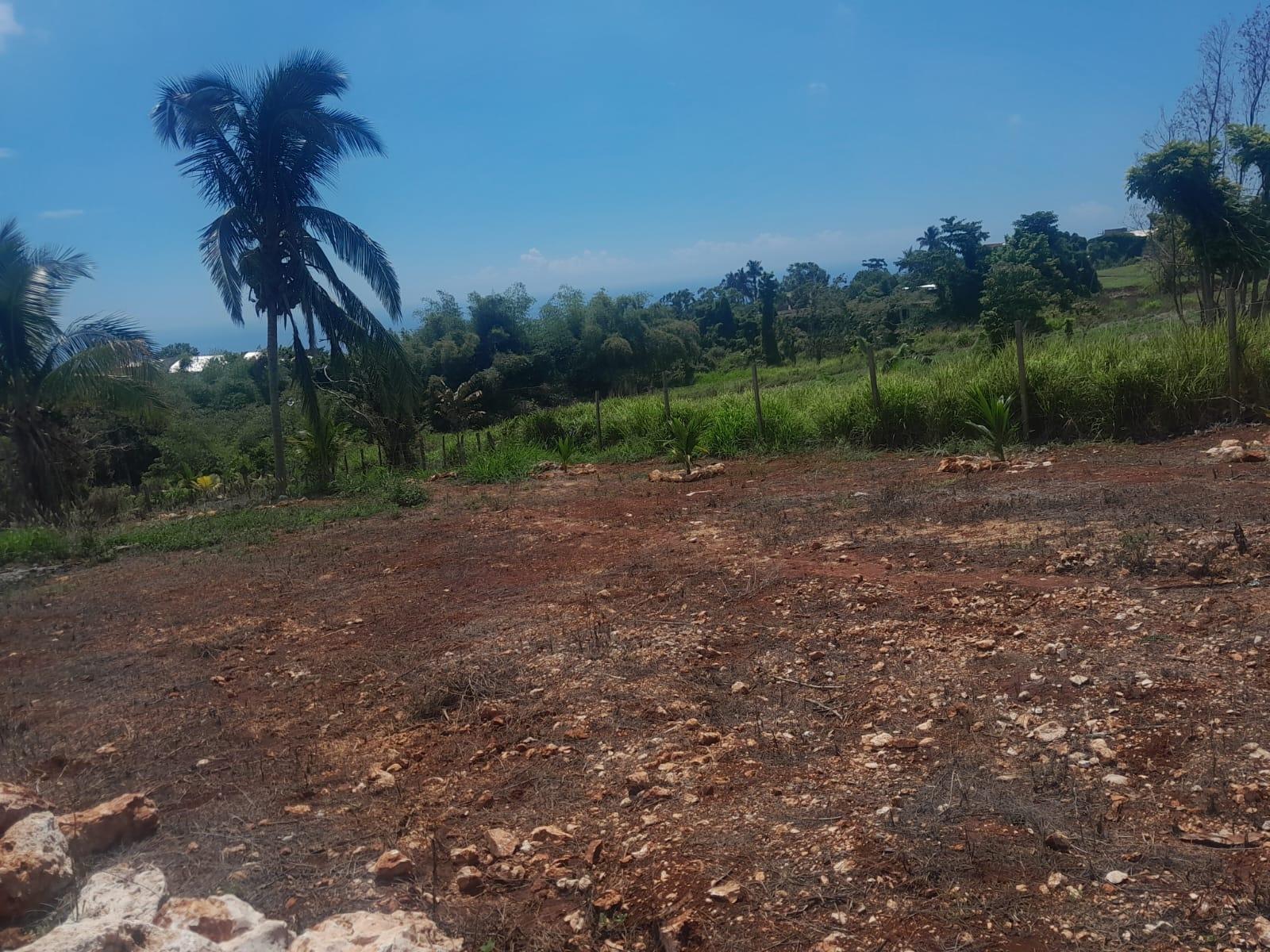 Eleventh image of Top Hill in Junction, St. Elizabeth, Jamaica - property is For Sale