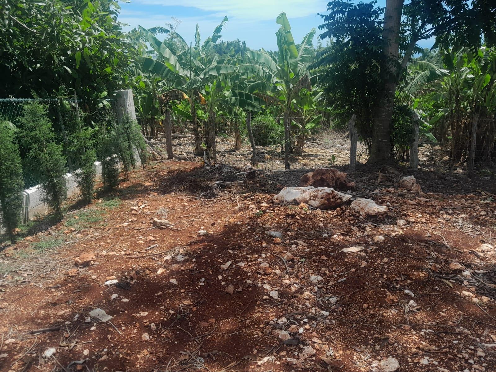 Third image of Top Hill in Junction, St. Elizabeth, Jamaica - property is For Sale