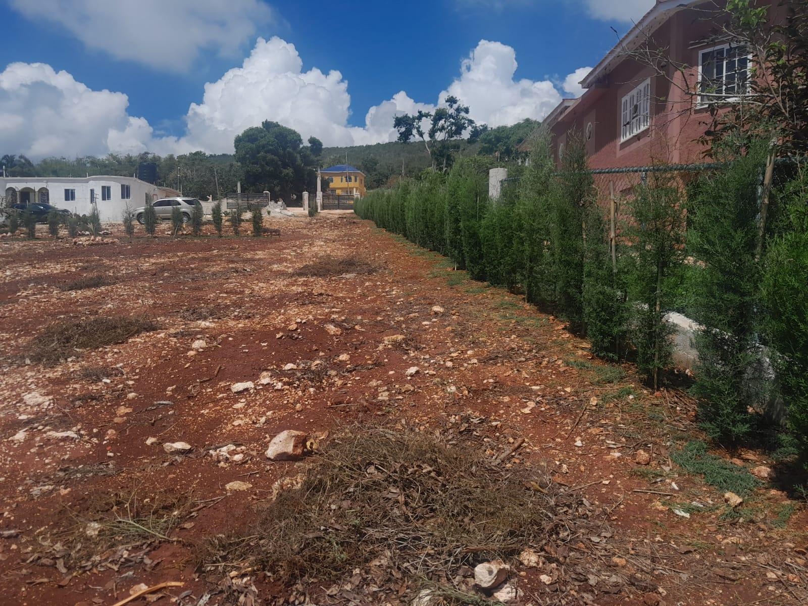 Fourth image of Top Hill in Junction, St. Elizabeth, Jamaica - property is For Sale
