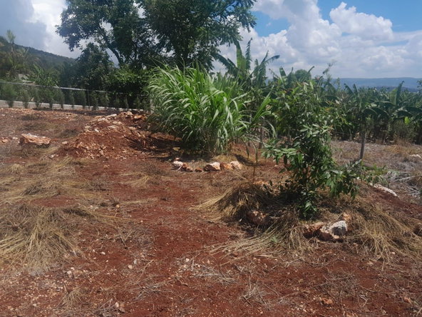 Seventh image of Top Hill in Junction, St. Elizabeth, Jamaica - property is For Sale