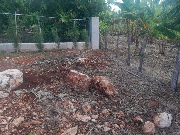 Eighth image of Top Hill in Junction, St. Elizabeth, Jamaica - property is For Sale