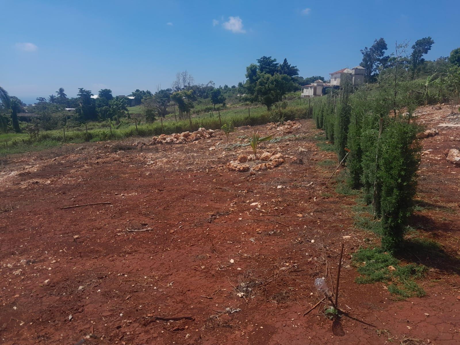 Ninth image of Top Hill in Junction, St. Elizabeth, Jamaica - property is For Sale