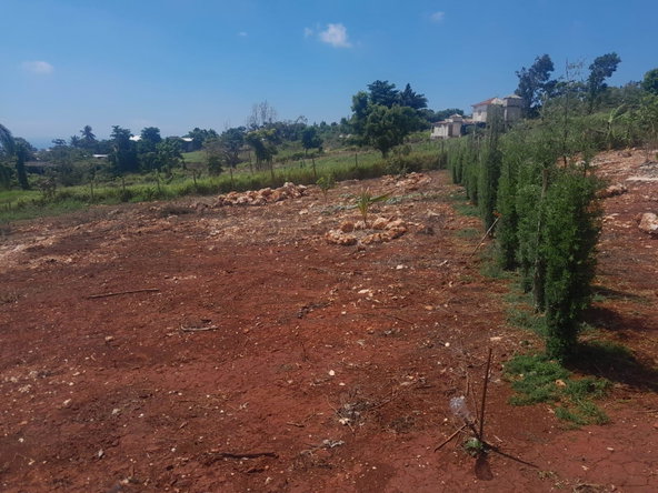Ninth image of Top Hill in Junction, St. Elizabeth, Jamaica - property is For Sale