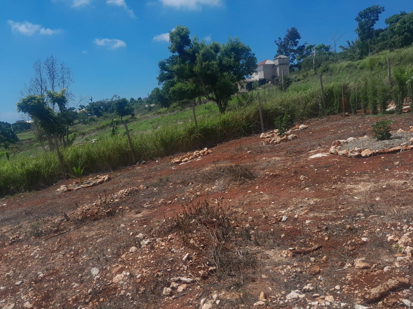 Tenth image of Top Hill in Junction, St. Elizabeth, Jamaica - property is For Sale