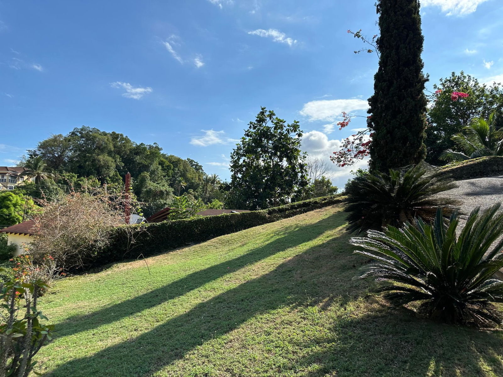Thirtieth image of 3 Montgomery Way, Kingston in Kingston 9, St. Andrew, Jamaica - property is For Sale