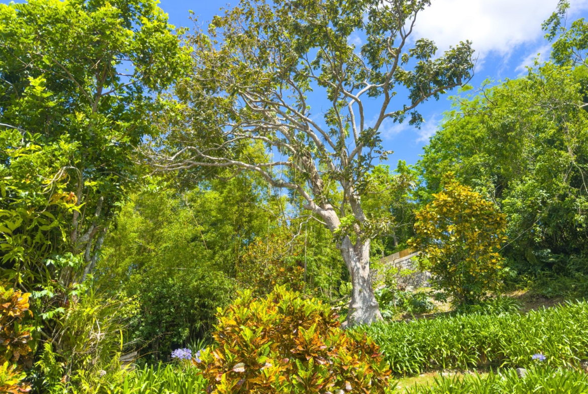 Twelfth image of Balvenie Heights in Mandeville, Manchester, Jamaica - property is For Sale
