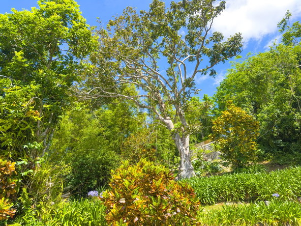 Twelfth image of Balvenie Heights in Mandeville, Manchester, Jamaica - property is For Sale