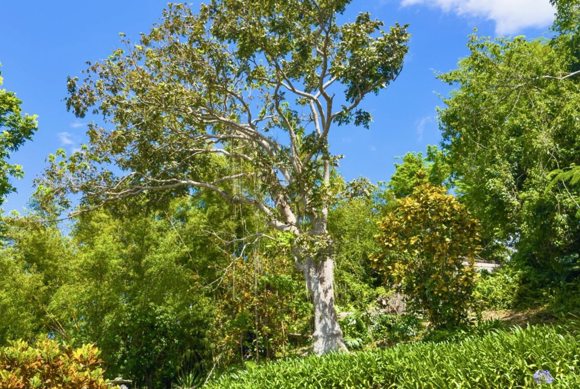 Thirteenth image of Balvenie Heights in Mandeville, Manchester, Jamaica - property is For Sale