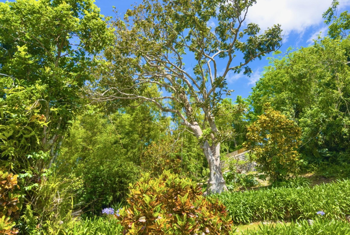 Fourteenth image of Balvenie Heights in Mandeville, Manchester, Jamaica - property is For Sale