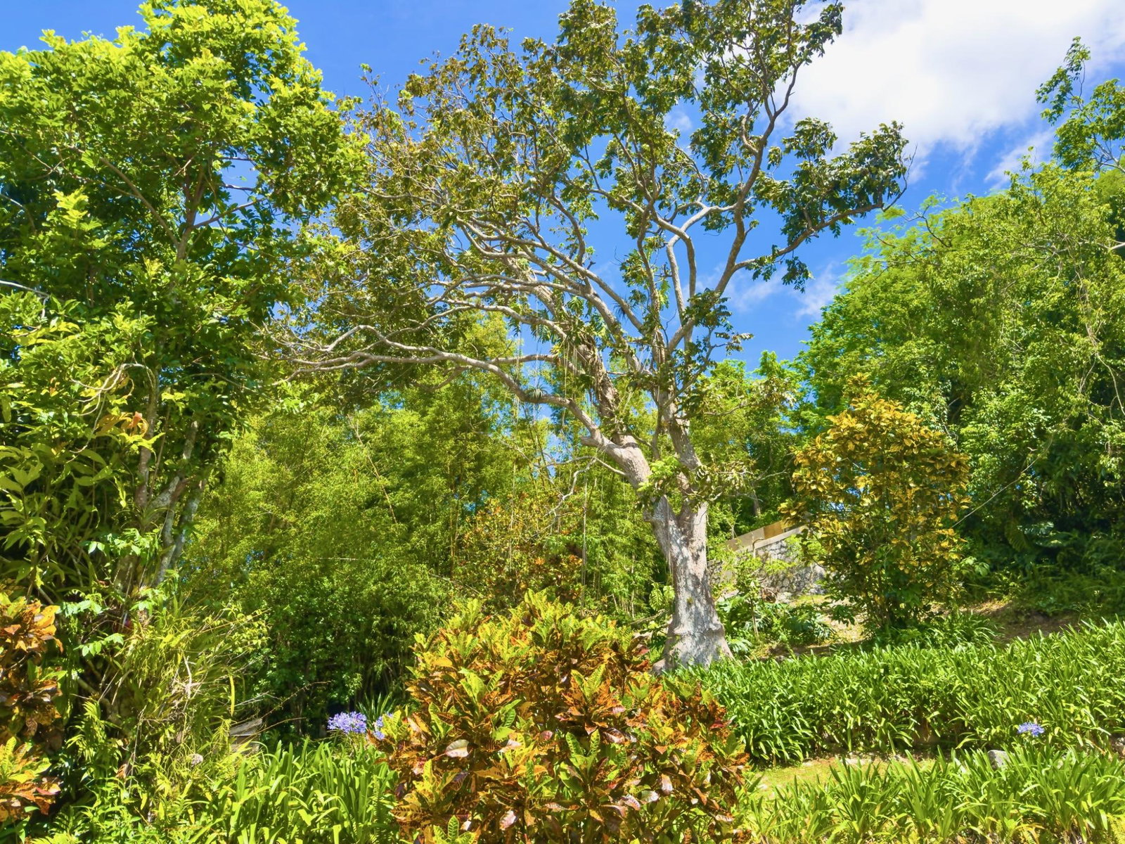 Fourteenth image of Balvenie Heights in Mandeville, Manchester, Jamaica - property is For Sale