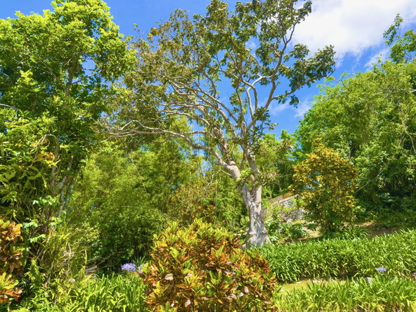 Fourteenth image of Balvenie Heights in Mandeville, Manchester, Jamaica - property is For Sale